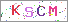 sҽX